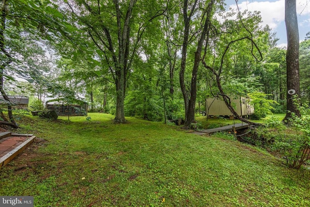 9071 Old Culpeper Rd, Warrenton, VA 20186 - view of green lawn