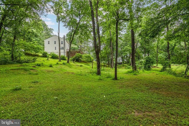 9071 Old Culpeper Rd, Warrenton, VA 20186 - view of yard