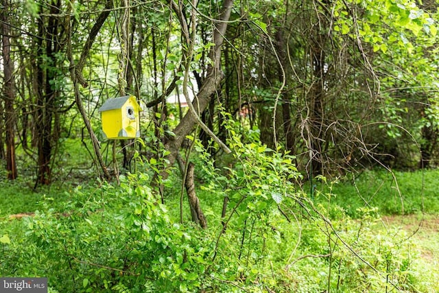 9071 Old Culpeper Rd, Warrenton, VA 20186 - view of nature