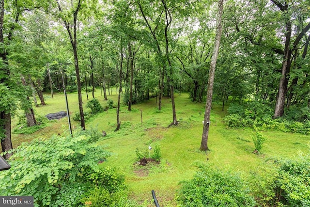 9071 Old Culpeper Rd, Warrenton, VA 20186 - view of yard featuring a forest view