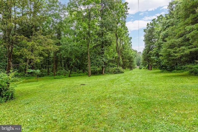 9071 Old Culpeper Rd, Warrenton, VA 20186 - view of grassy yard featuring a wooded view