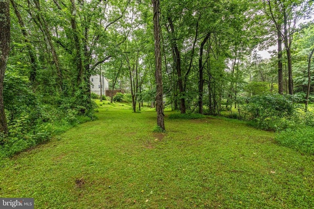 9071 Old Culpeper Rd, Warrenton, VA 20186 - view of green lawn