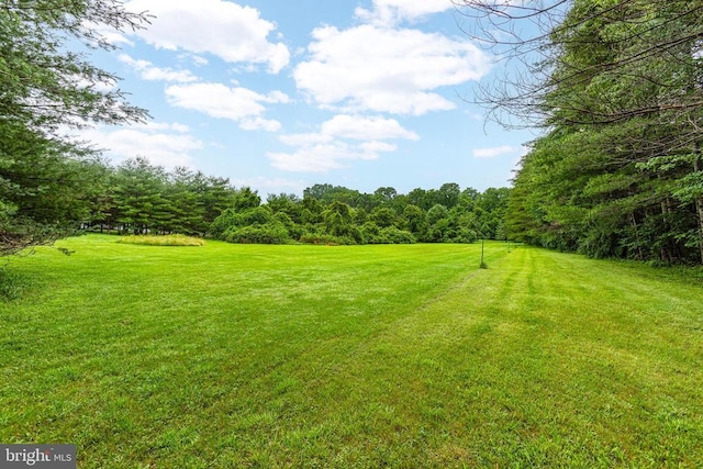 9071 Old Culpeper Rd, Warrenton, VA 20186 - view of green lawn featuring a wooded view