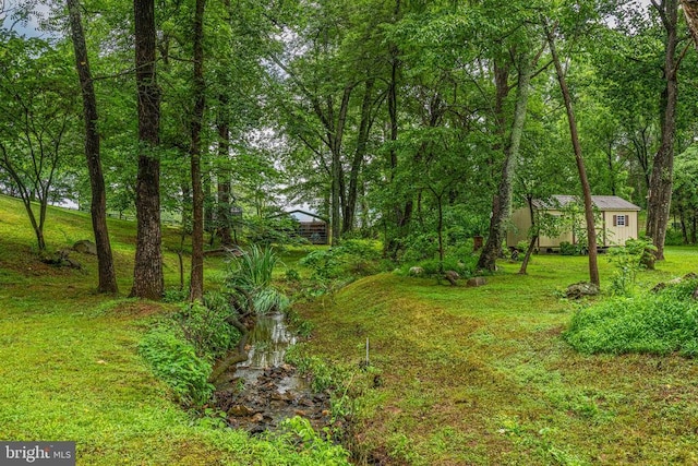9071 Old Culpeper Rd, Warrenton, VA 20186 - view of green lawn