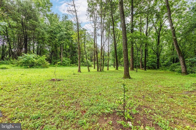 9071 Old Culpeper Rd, Warrenton, VA 20186 - view of green lawn