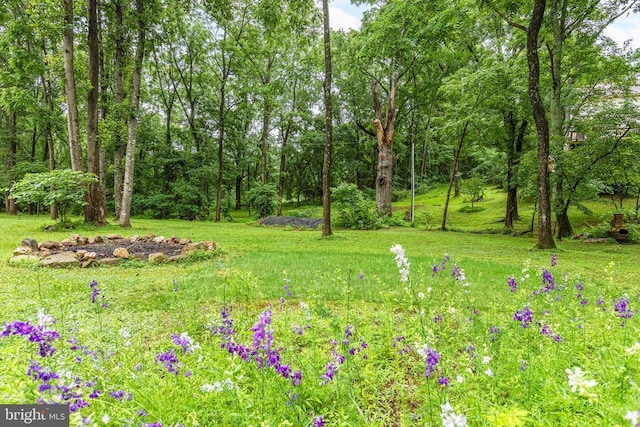 9071 Old Culpeper Rd, Warrenton, VA 20186 - view of yard