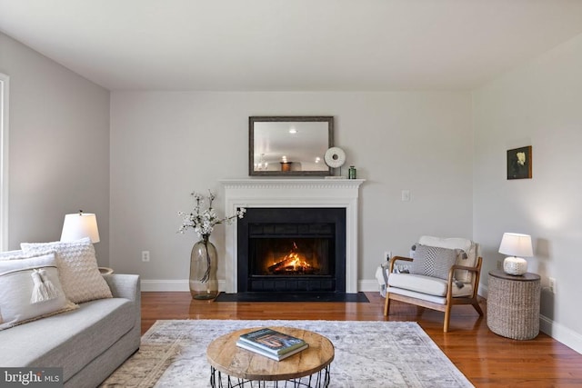  - living area with a fireplace with flush hearth, wood finished floors, and baseboards