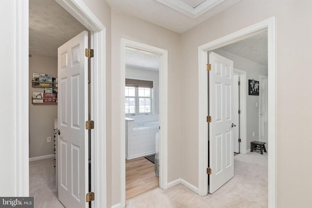 5008 Blake Dr, Fredericksburg, VA 22407 - corridor with a textured ceiling and light colored carpet