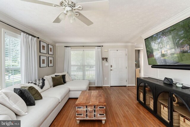 5008 Blake Dr, Fredericksburg, VA 22407 - living room featuring crown molding, wood-type flooring, a ceiling fan, and a textured ceiling