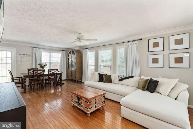 5008 Blake Dr, Fredericksburg, VA 22407 - living area featuring ornamental molding, healthy amount of natural light, ceiling fan, light wood-type flooring, and a textured ceiling