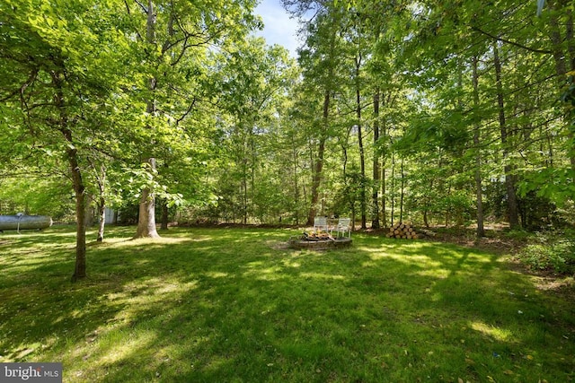 8107 Waterford Dr, Spotsylvania, VA 22551 - photo 62