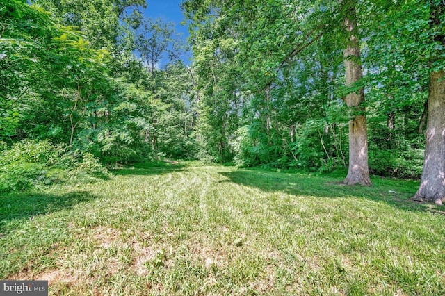 7736 Courthouse Rd, Spotsylvania, VA 22551 - photo 19