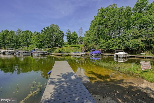 5220 Wyndemere Cir, Mineral, VA 23117 - dock featuring a water view