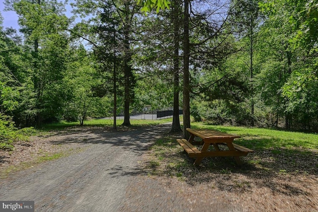 5220 Wyndemere Cir, Mineral, VA 23117 - view of property's community