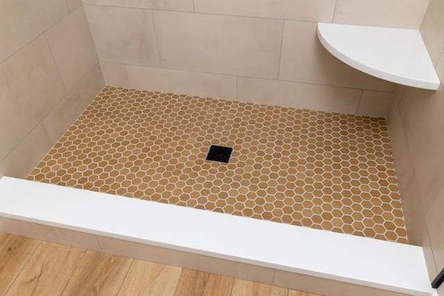 LOT155 Langley Dr, Waynesboro, VA 22980 - bathroom view of tiled shower