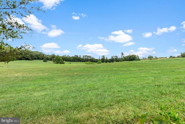 234 Landon Ln, Orange, VA 22960 - view of grassy yard with a rural view