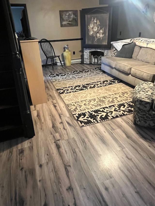 290 Shenandoah River Rd, Shenandoah, VA 22849 - living area with a stone fireplace and wood finished floors