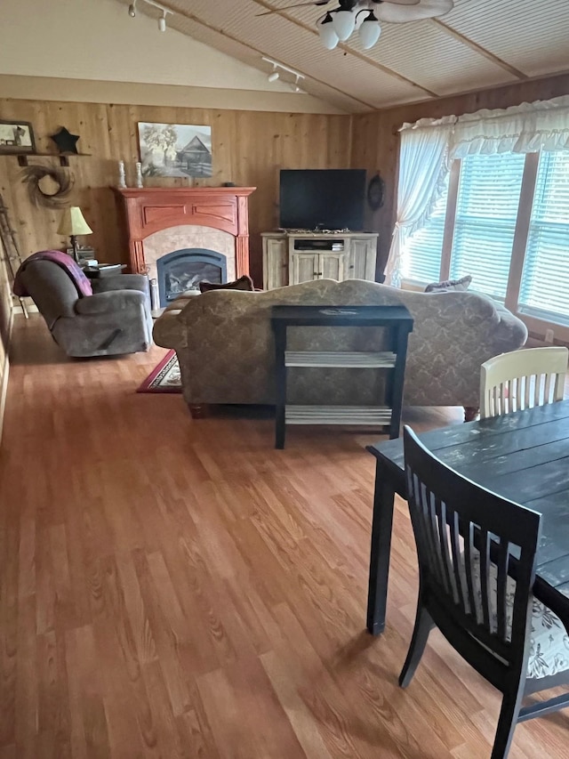 290 Shenandoah River Rd, Shenandoah, VA 22849 - living room with a fireplace, rail lighting, wooden walls, and ceiling fan