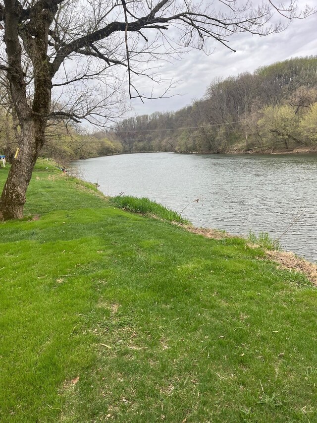 290 Shenandoah River Rd, Shenandoah, VA 22849 - water view featuring a wooded view