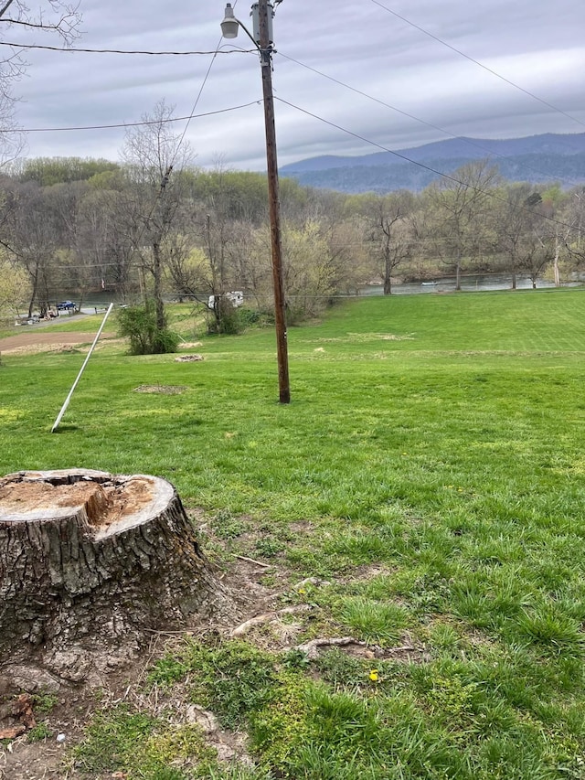 290 Shenandoah River Rd, Shenandoah, VA 22849 - view of yard with a water view