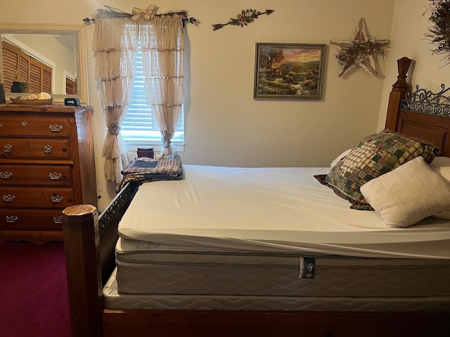 290 Shenandoah River Rd, Shenandoah, VA 22849 - view of carpeted bedroom