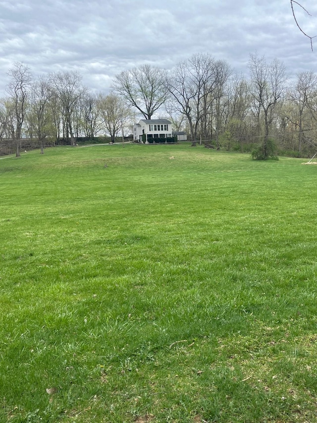 290 Shenandoah River Rd, Shenandoah, VA 22849 - view of yard