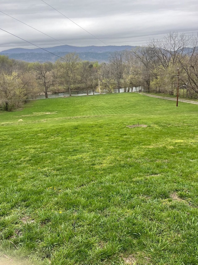 290 Shenandoah River Rd, Shenandoah, VA 22849 - view of yard with a water view