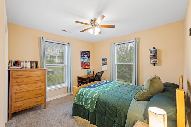 832 Grayson Ave, Waynesboro, VA 22980 - bedroom with carpet flooring, multiple windows, and a ceiling fan