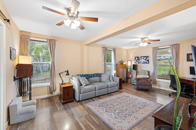 832 Grayson Ave, Waynesboro, VA 22980 - living room with ceiling fan, healthy amount of natural light, and wood-type flooring