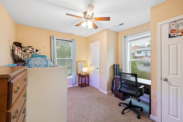 832 Grayson Ave, Waynesboro, VA 22980 - office area featuring plenty of natural light, carpet flooring, and ceiling fan