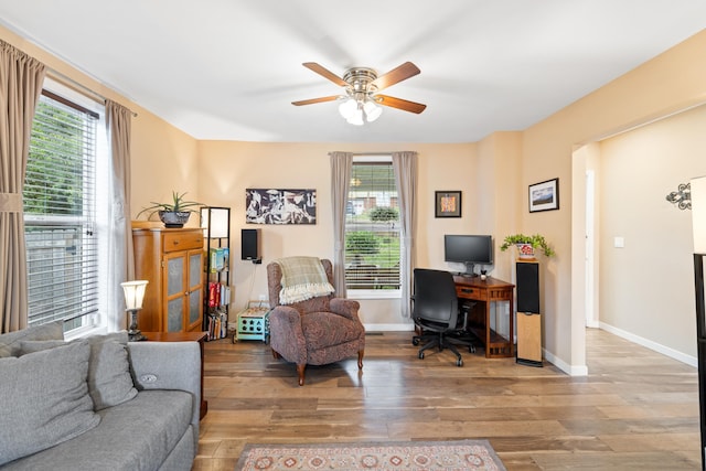 832 Grayson Ave, Waynesboro, VA 22980 - home office featuring plenty of natural light, wood finished floors, and ceiling fan
