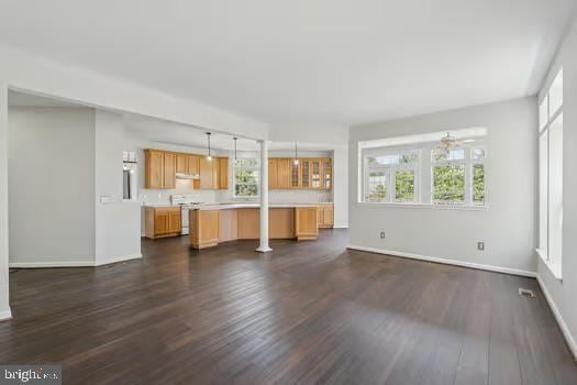1025 Riverdale Cir, Culpeper, VA 22701 - unfurnished living room featuring dark wood-style flooring and plenty of natural light