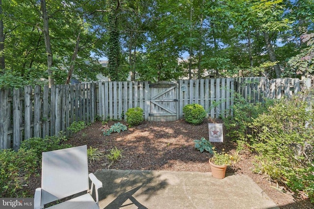 9839 Dominion Forest Cir, Fredericksburg, VA 22408 - fenced backyard featuring a gate and a patio area