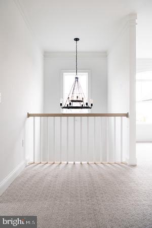 empty room with ornamental molding, an inviting chandelier, and carpet floors
