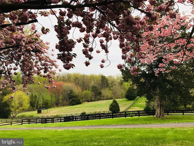 409 Cook Mountain Dr, Brightwood, VA 22715 - view of community featuring a rural view