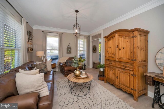 11001 Waterstone Pl, Spotsylvania, VA 22551 - living area with light wood finished floors and crown molding