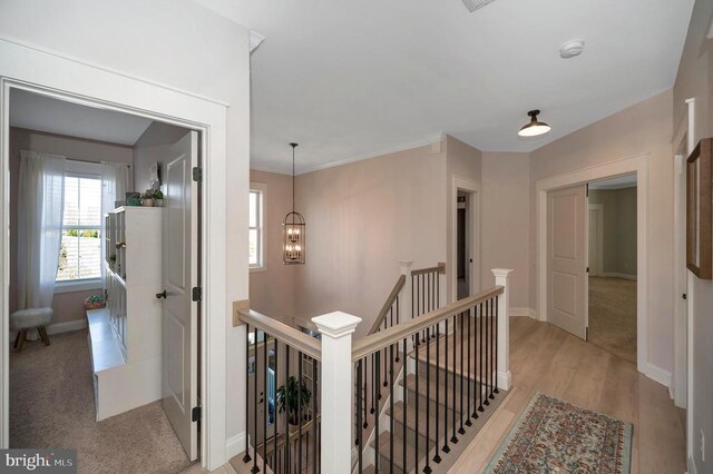 11001 Waterstone Pl, Spotsylvania, VA 22551 - hall featuring an upstairs landing, baseboards, a chandelier, and light wood-type flooring