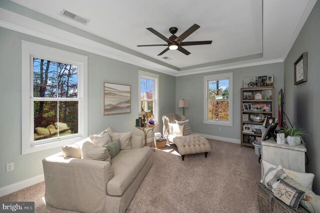 11001 Waterstone Pl, Spotsylvania, VA 22551 - living area featuring a tray ceiling, healthy amount of natural light, baseboards, and ornamental molding