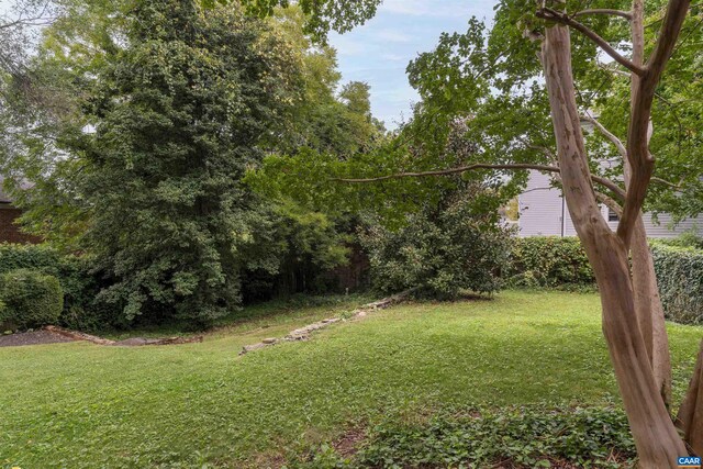 883 Locust Ave, Charlottesville, VA 22902 - view of grassy yard