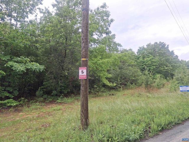 0 Indian Pipe Run, Palmyra, VA 22963 - photo 2