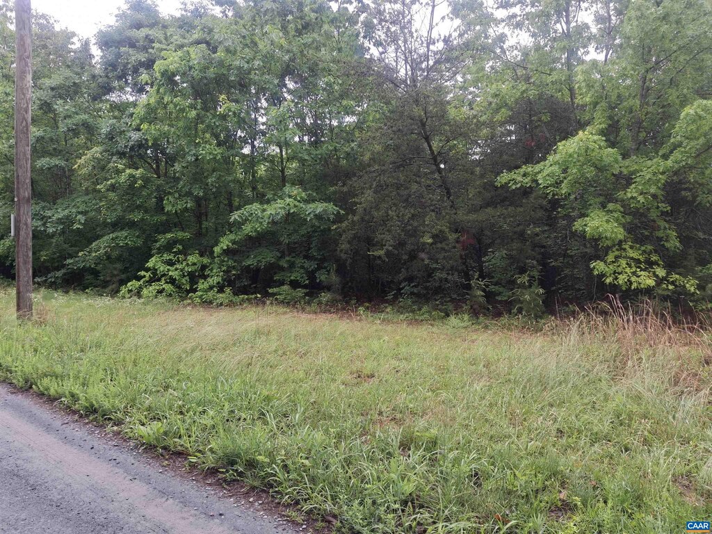 0 Indian Pipe Run, Palmyra, VA 22963 - photo 4