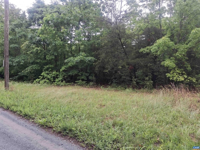 0 Indian Pipe Run, Palmyra, VA 22963 - photo 4