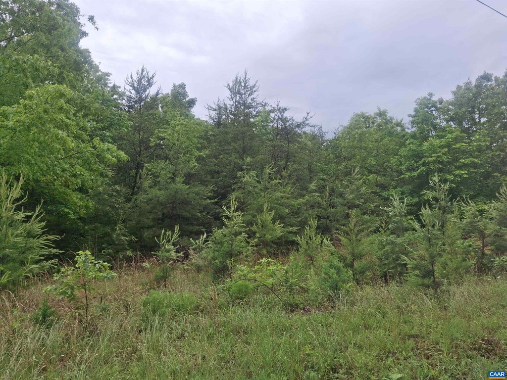 0 Indian Pipe Run, Palmyra, VA 22963 - photo 3