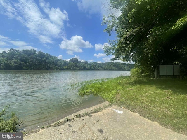220 Airstrip Rd, Luray, VA 22835 - water view featuring a heavily wooded area