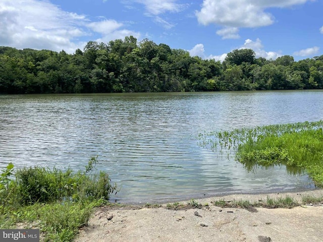 220 Airstrip Rd, Luray, VA 22835 - water view featuring a heavily wooded area