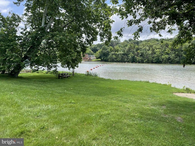 220 Airstrip Rd, Luray, VA 22835 - view of grassy yard featuring a water view