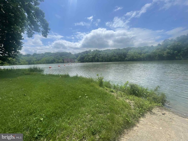 220 Airstrip Rd, Luray, VA 22835 - water view with a heavily wooded area