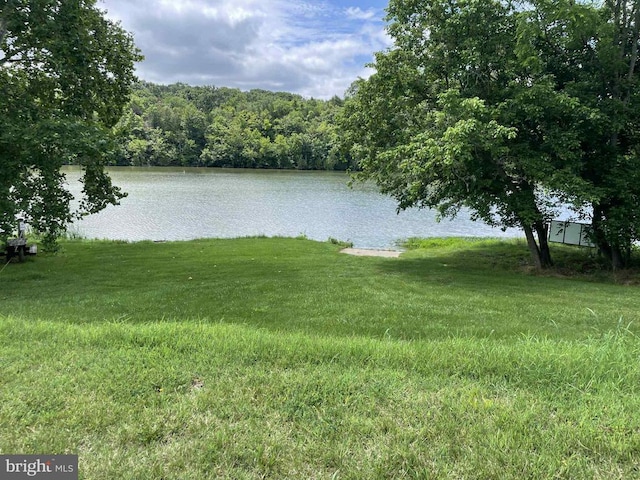 220 Airstrip Rd, Luray, VA 22835 - water view featuring a forest