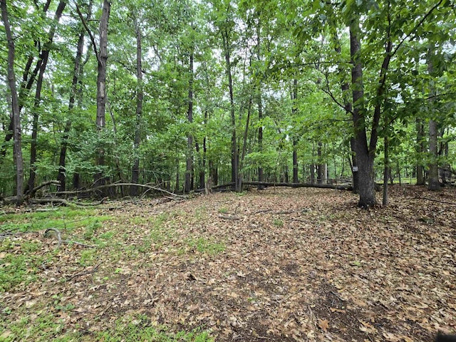 00 Indian Ridge Ln, Rockingham, VA 22802