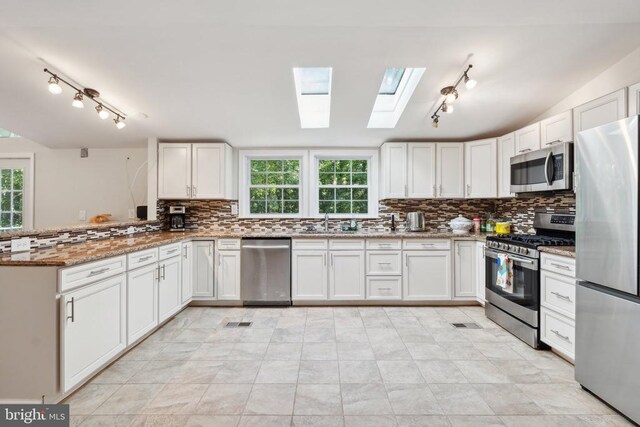 31055 Lumber Rd, Locust Grove, VA 22508 - kitchen with stainless steel appliances, track lighting, a skylight, and plenty of natural light